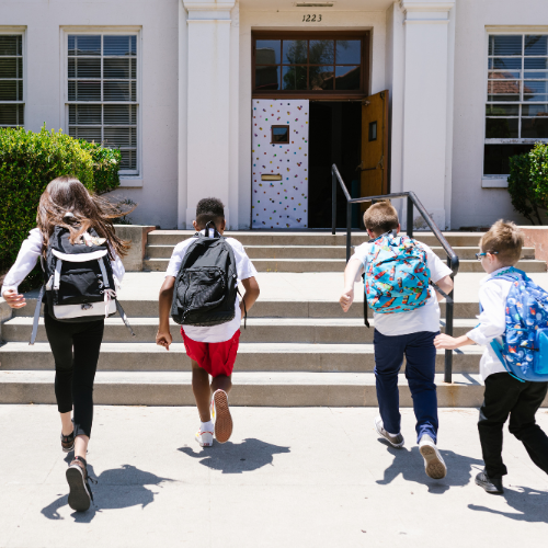 Winchester Massachusetts Schools | Carol Lindenmuth