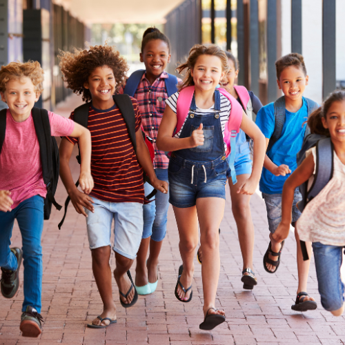 Melrose Massachusetts Schools | Carol Lindenmuth