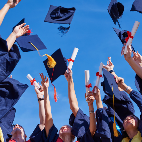 Cambridge Massachusetts Schools | Carol Lindenmuth