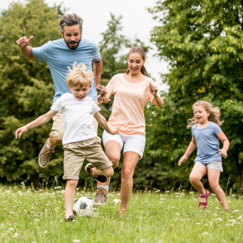 Cambridge Massachusetts Parks | Carol Lindenmuth